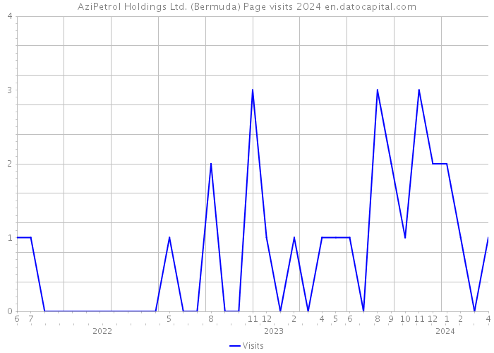 AziPetrol Holdings Ltd. (Bermuda) Page visits 2024 