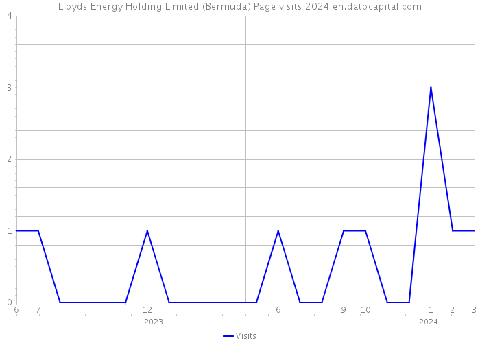 Lloyds Energy Holding Limited (Bermuda) Page visits 2024 