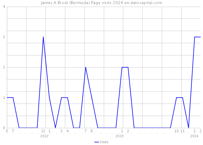 James A Brodi (Bermuda) Page visits 2024 