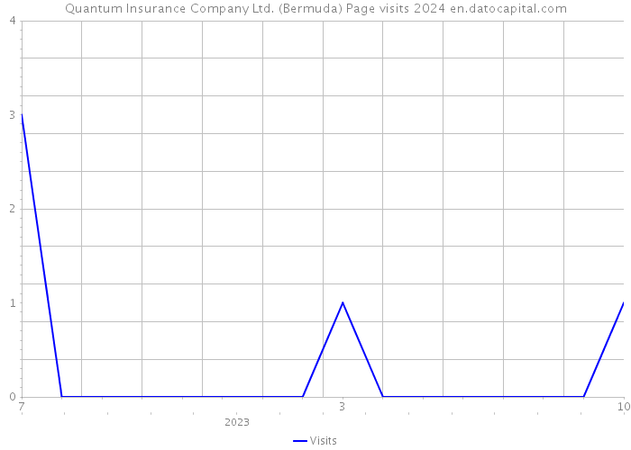 Quantum Insurance Company Ltd. (Bermuda) Page visits 2024 