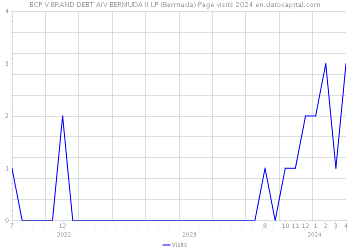 BCP V BRAND DEBT AIV BERMUDA II LP (Bermuda) Page visits 2024 