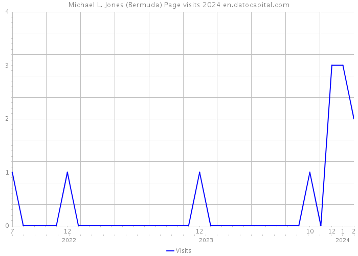 Michael L. Jones (Bermuda) Page visits 2024 