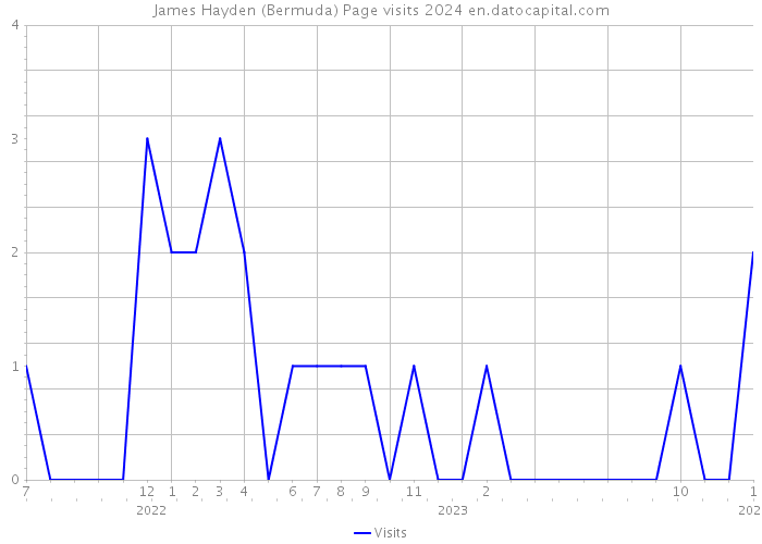 James Hayden (Bermuda) Page visits 2024 