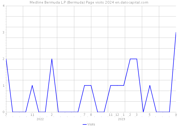 Medline Bermuda L.P (Bermuda) Page visits 2024 
