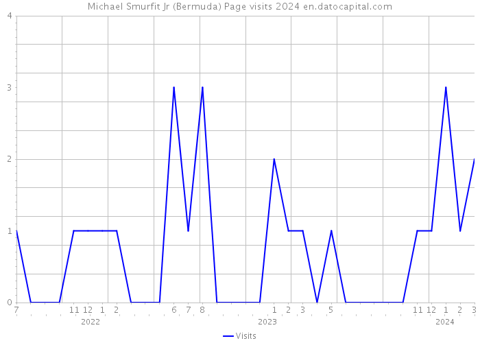 Michael Smurfit Jr (Bermuda) Page visits 2024 