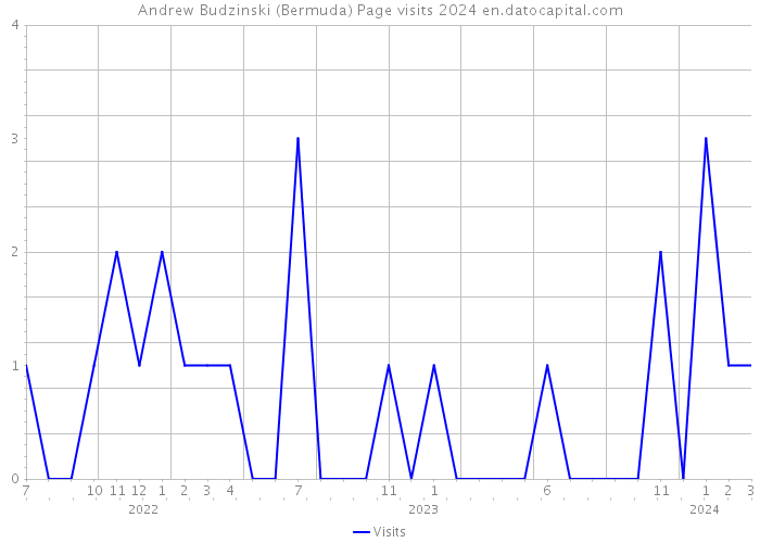 Andrew Budzinski (Bermuda) Page visits 2024 