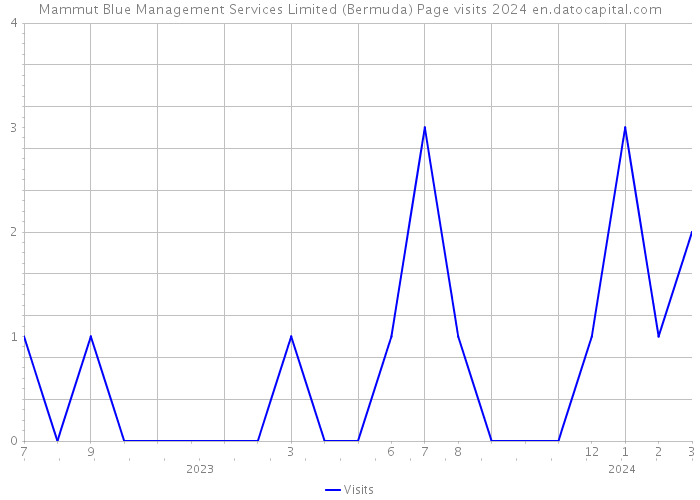 Mammut Blue Management Services Limited (Bermuda) Page visits 2024 