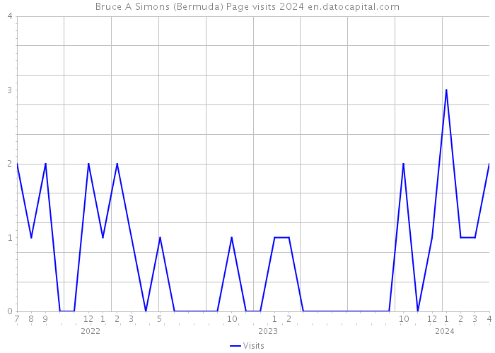 Bruce A Simons (Bermuda) Page visits 2024 