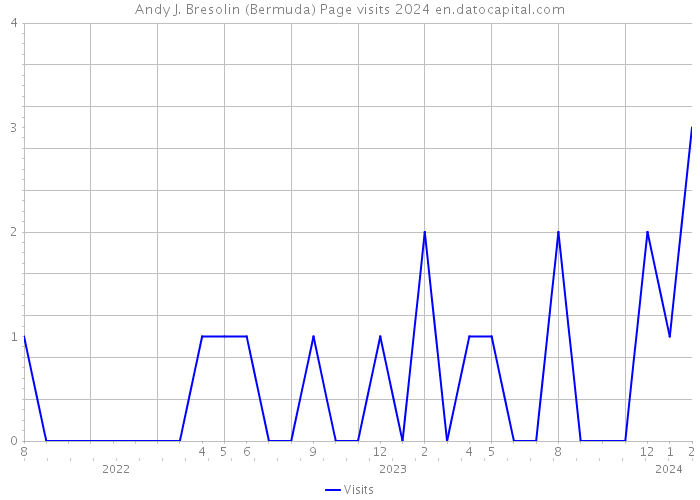 Andy J. Bresolin (Bermuda) Page visits 2024 