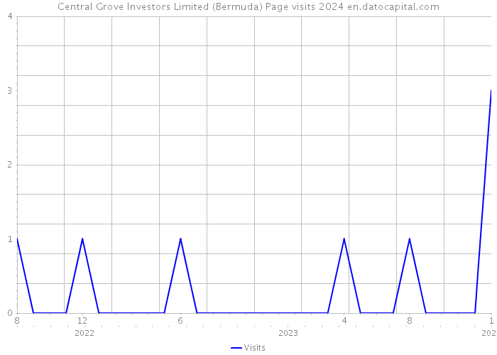 Central Grove Investors Limited (Bermuda) Page visits 2024 