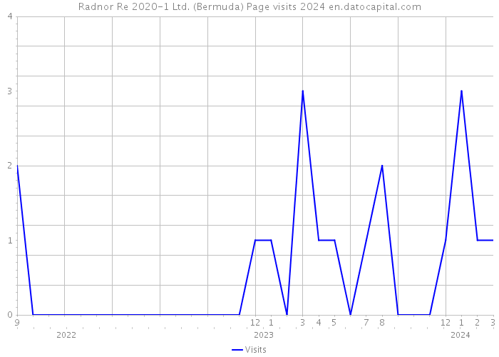 Radnor Re 2020-1 Ltd. (Bermuda) Page visits 2024 