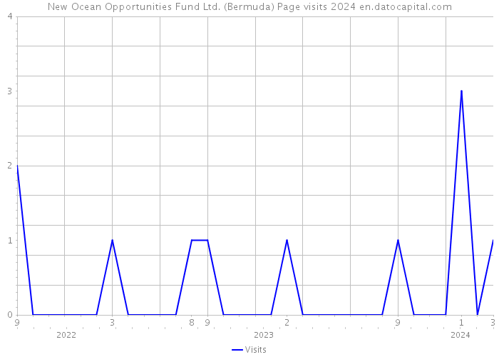 New Ocean Opportunities Fund Ltd. (Bermuda) Page visits 2024 