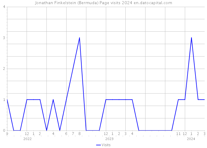 Jonathan Finkelstein (Bermuda) Page visits 2024 