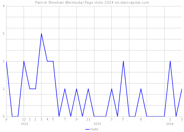 Patrick Sheehan (Bermuda) Page visits 2024 