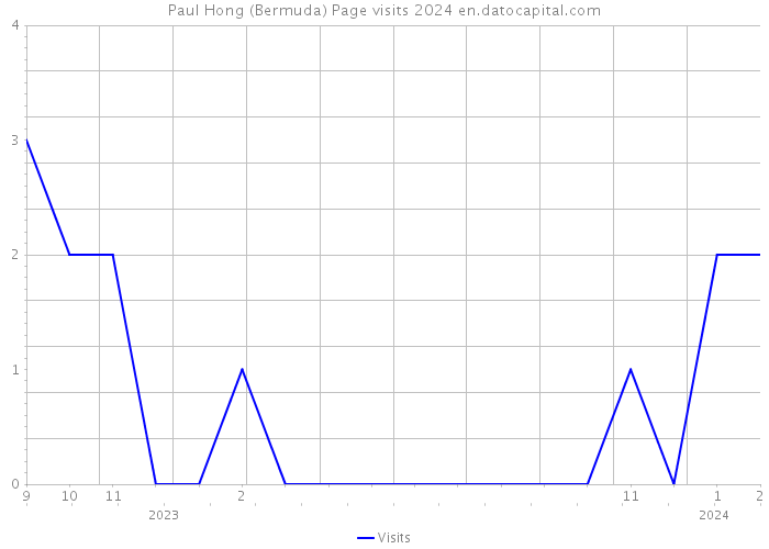 Paul Hong (Bermuda) Page visits 2024 