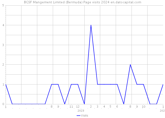BGSF Mangement Limited (Bermuda) Page visits 2024 