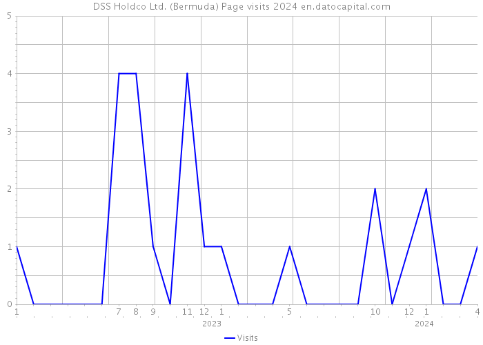 DSS Holdco Ltd. (Bermuda) Page visits 2024 