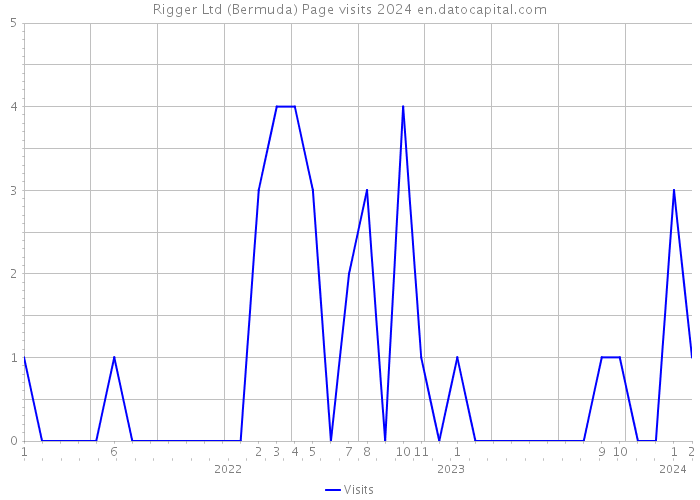 Rigger Ltd (Bermuda) Page visits 2024 
