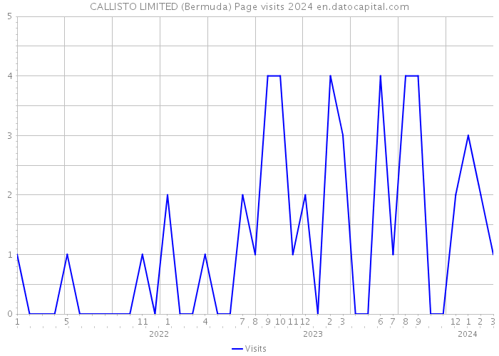 CALLISTO LIMITED (Bermuda) Page visits 2024 