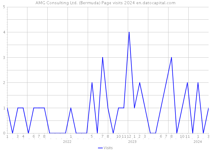 AMG Consulting Ltd. (Bermuda) Page visits 2024 