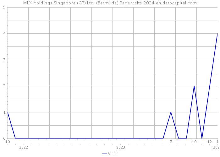 MLX Holdings Singapore (GP) Ltd. (Bermuda) Page visits 2024 