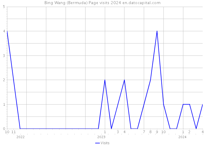 Bing Wang (Bermuda) Page visits 2024 