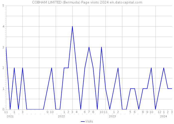 COBHAM LIMITED (Bermuda) Page visits 2024 