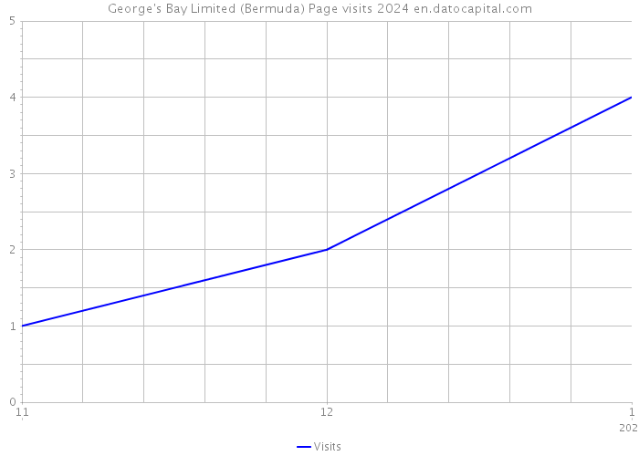 George's Bay Limited (Bermuda) Page visits 2024 