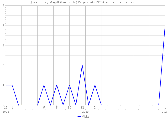 Joseph Ray Magill (Bermuda) Page visits 2024 