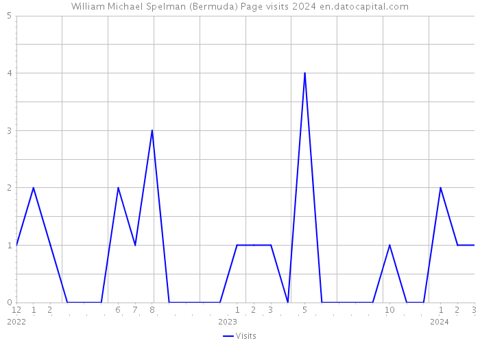 William Michael Spelman (Bermuda) Page visits 2024 