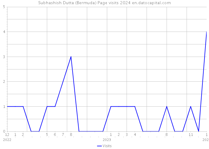 Subhashish Dutta (Bermuda) Page visits 2024 