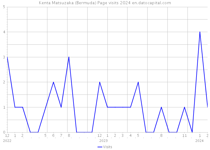 Kenta Matsuzaka (Bermuda) Page visits 2024 