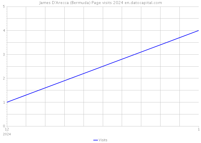 James D'Arecca (Bermuda) Page visits 2024 