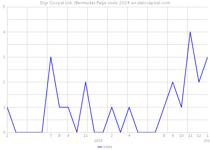 Digi Goopal Ltd. (Bermuda) Page visits 2024 