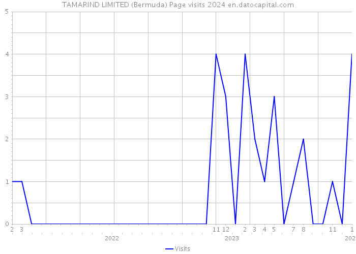 TAMARIND LIMITED (Bermuda) Page visits 2024 