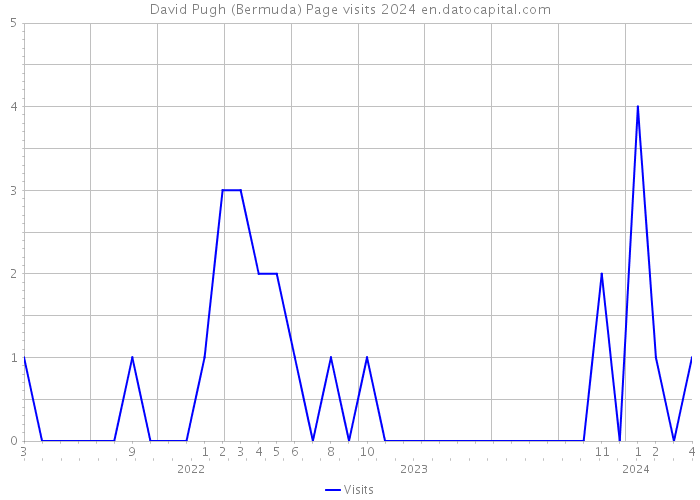 David Pugh (Bermuda) Page visits 2024 