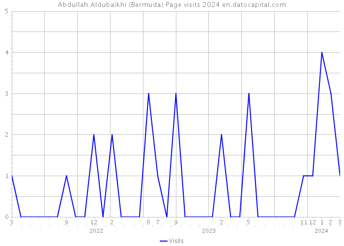 Abdullah Aldubaikhi (Bermuda) Page visits 2024 