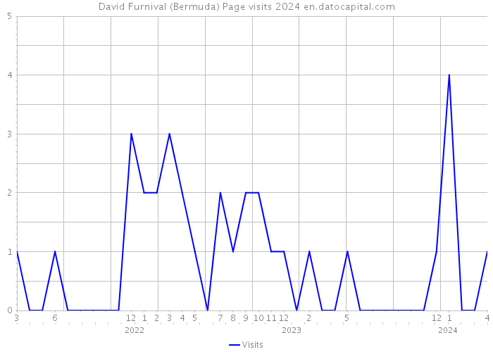 David Furnival (Bermuda) Page visits 2024 