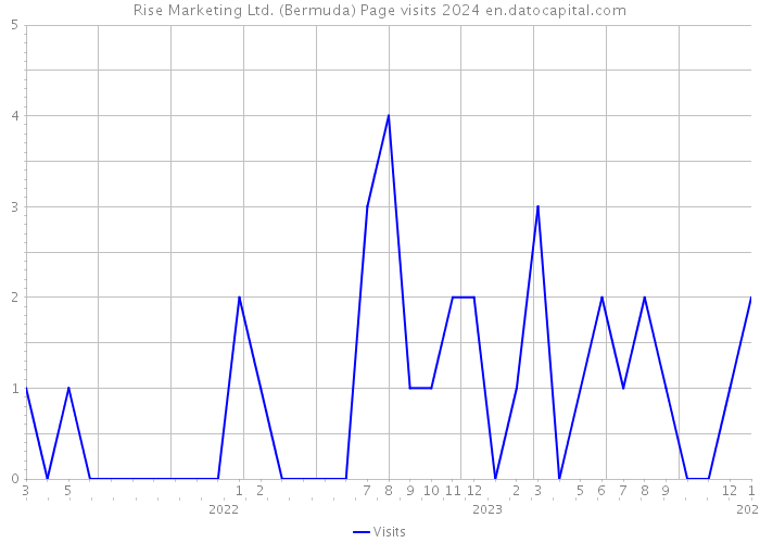 Rise Marketing Ltd. (Bermuda) Page visits 2024 