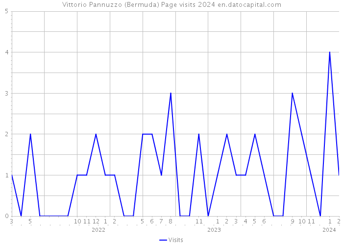 Vittorio Pannuzzo (Bermuda) Page visits 2024 