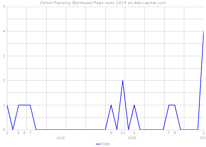 Ozlem Fanning (Bermuda) Page visits 2024 