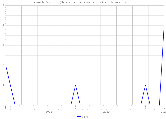 Steven R. Vigliotti (Bermuda) Page visits 2024 