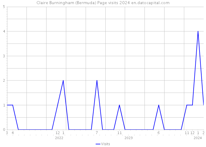 Claire Burningham (Bermuda) Page visits 2024 
