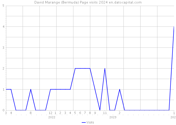 David Marange (Bermuda) Page visits 2024 