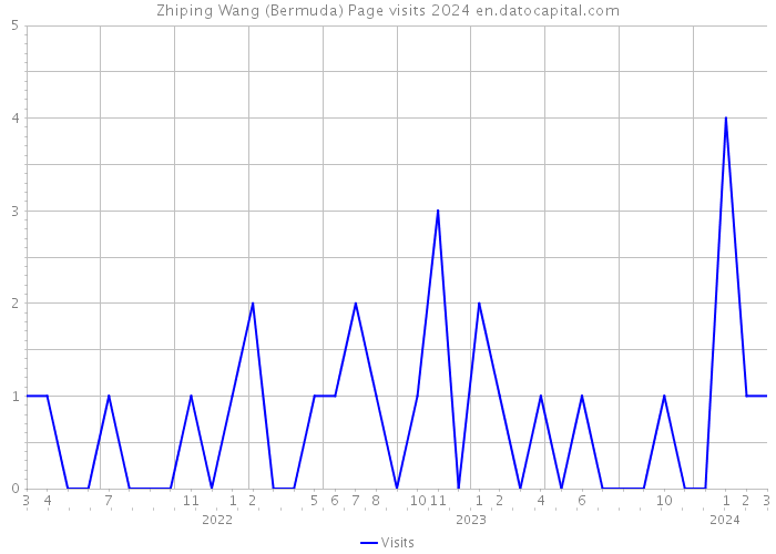 Zhiping Wang (Bermuda) Page visits 2024 