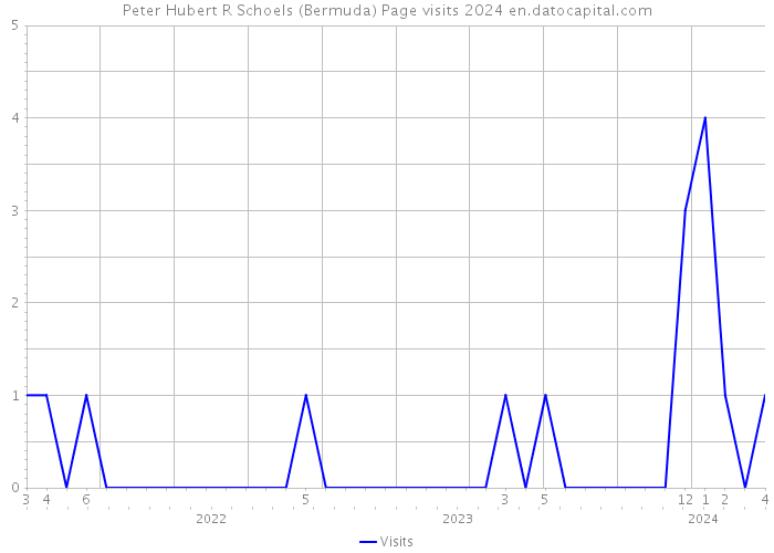 Peter Hubert R Schoels (Bermuda) Page visits 2024 