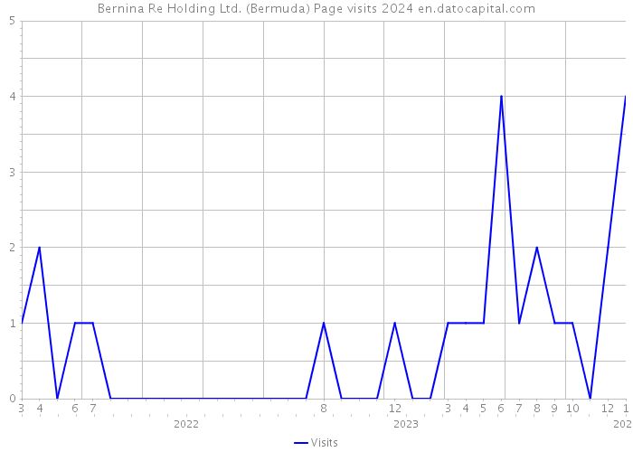 Bernina Re Holding Ltd. (Bermuda) Page visits 2024 