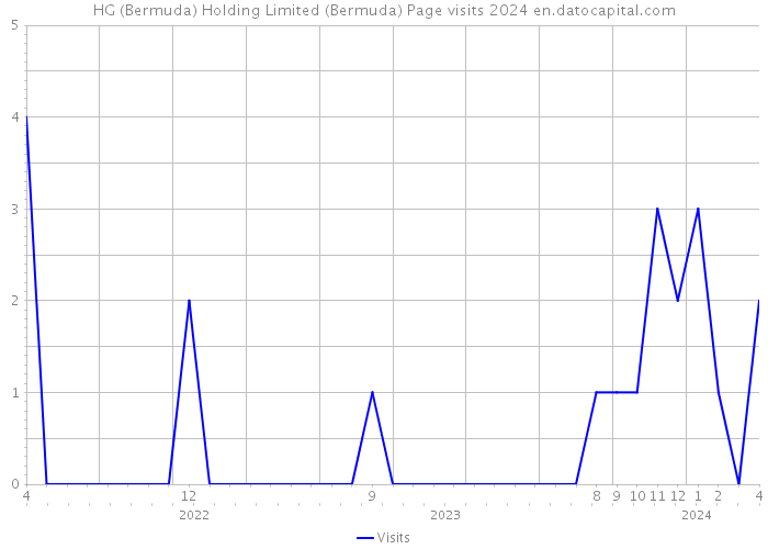 HG (Bermuda) Holding Limited (Bermuda) Page visits 2024 