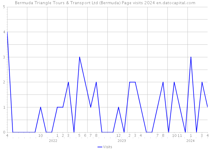 Bermuda Triangle Tours & Transport Ltd (Bermuda) Page visits 2024 