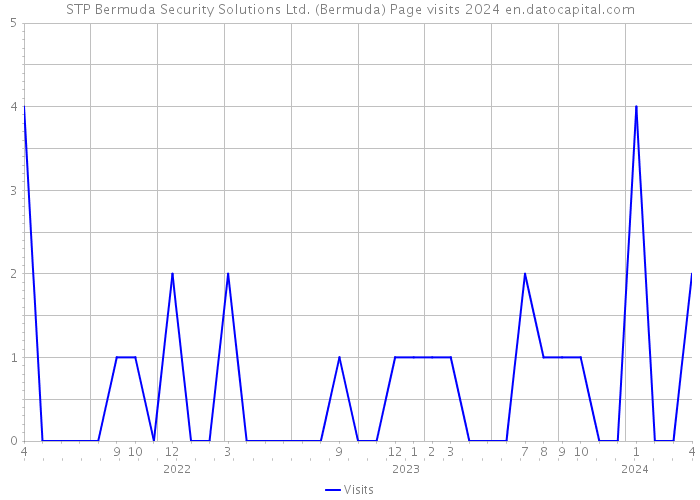 STP Bermuda Security Solutions Ltd. (Bermuda) Page visits 2024 
